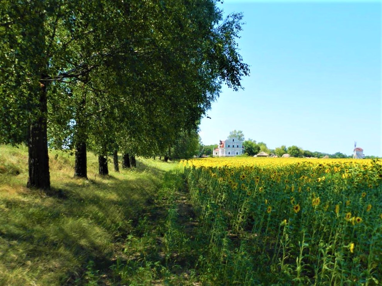 Village Veremiivka, Zolotonosha district