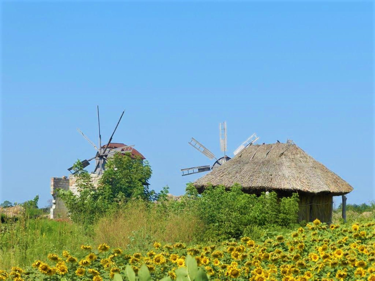 Village Veremiivka, Zolotonosha district
