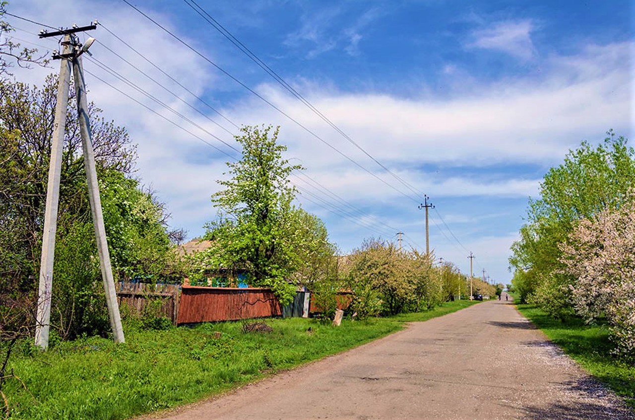 Vasiutyntsi village, Cherkasy region