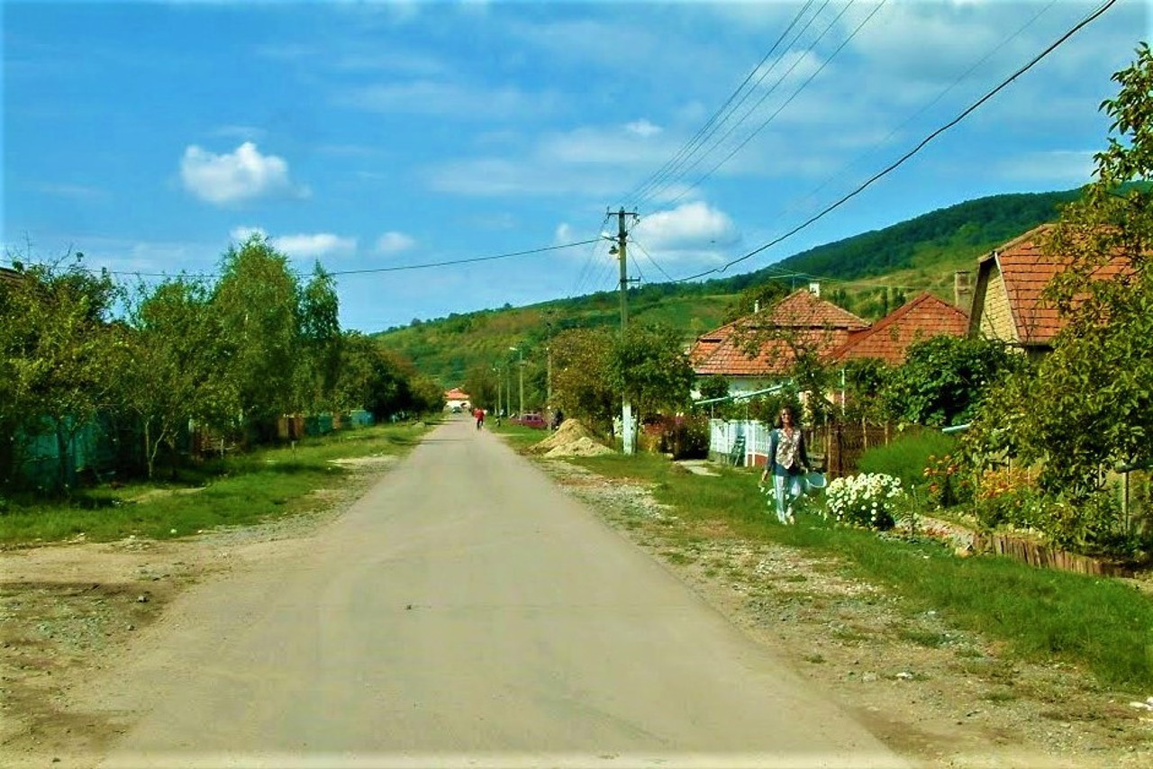 Muzhiievo village
