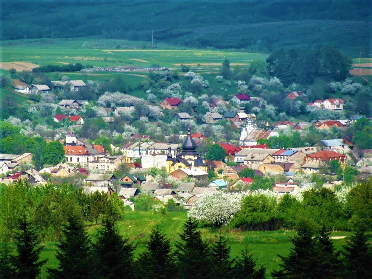 Добромиль александр фото