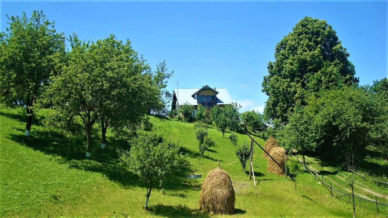 Tukholka village