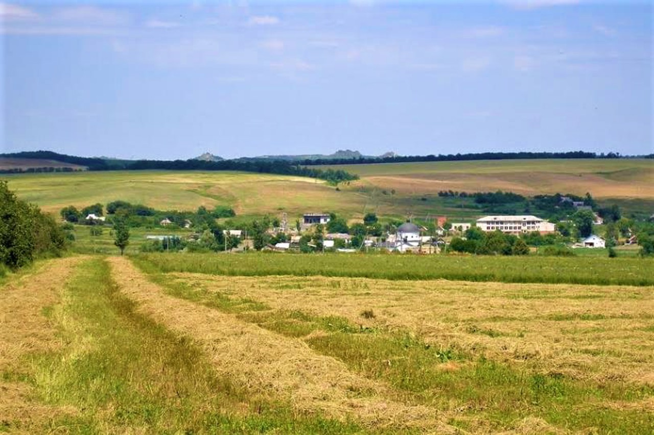 Oleksandro-Shultyne village