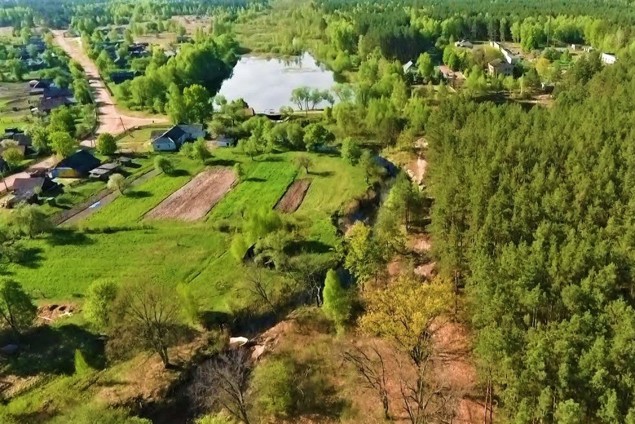 Selezivka village