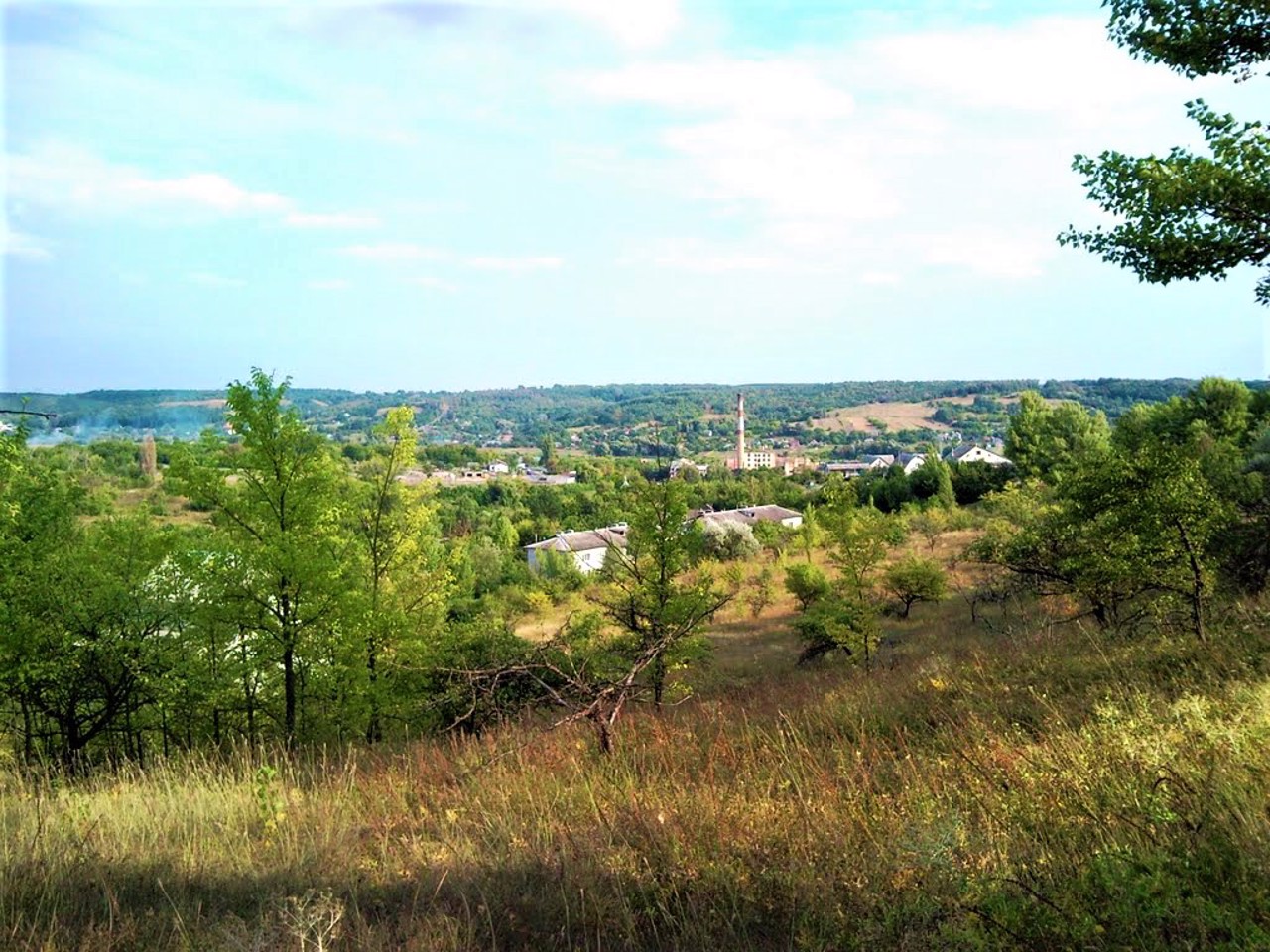 Hryhorivka village, Obukhiv district