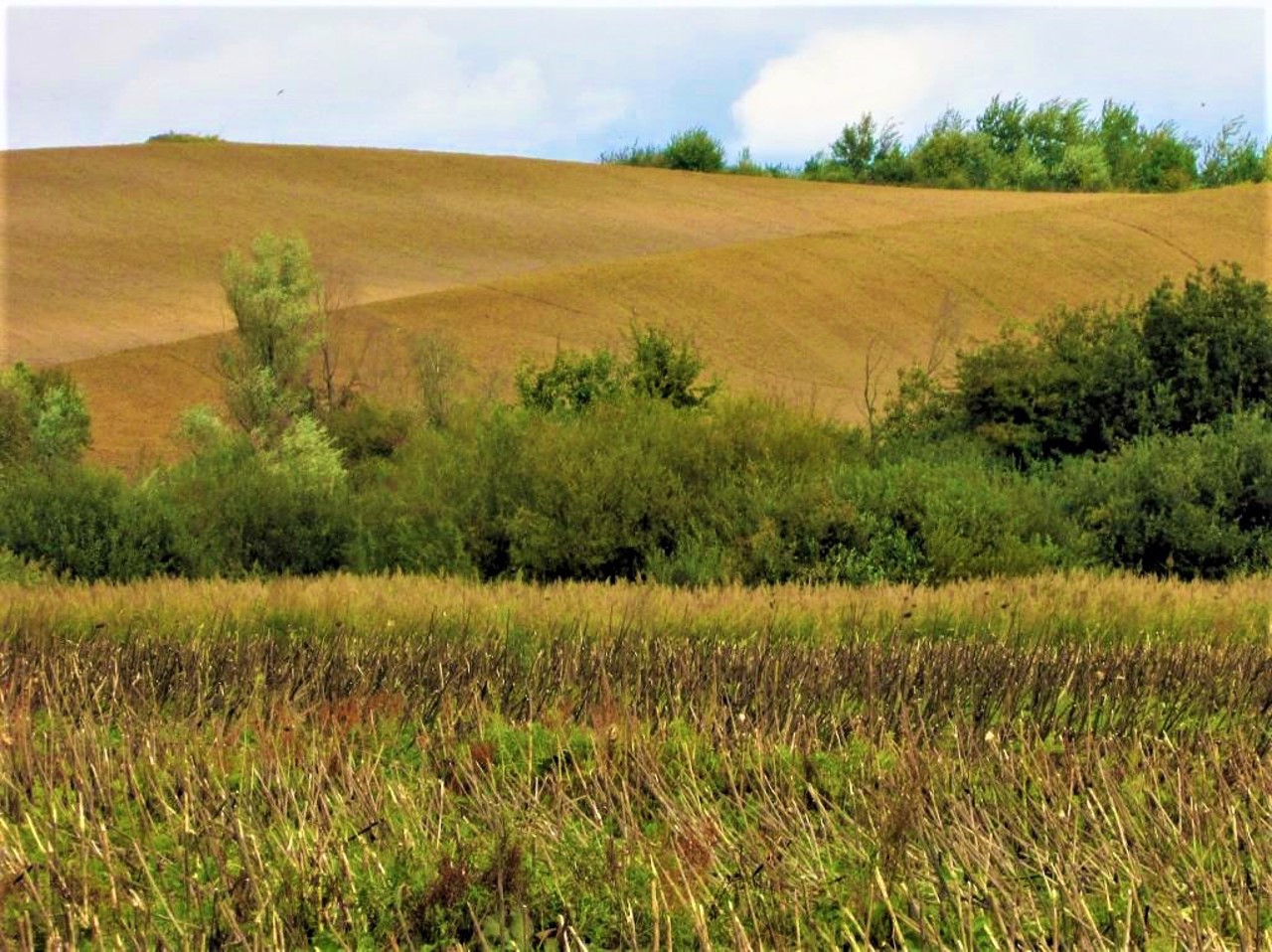 Popovychi village, Yavorivskyi district