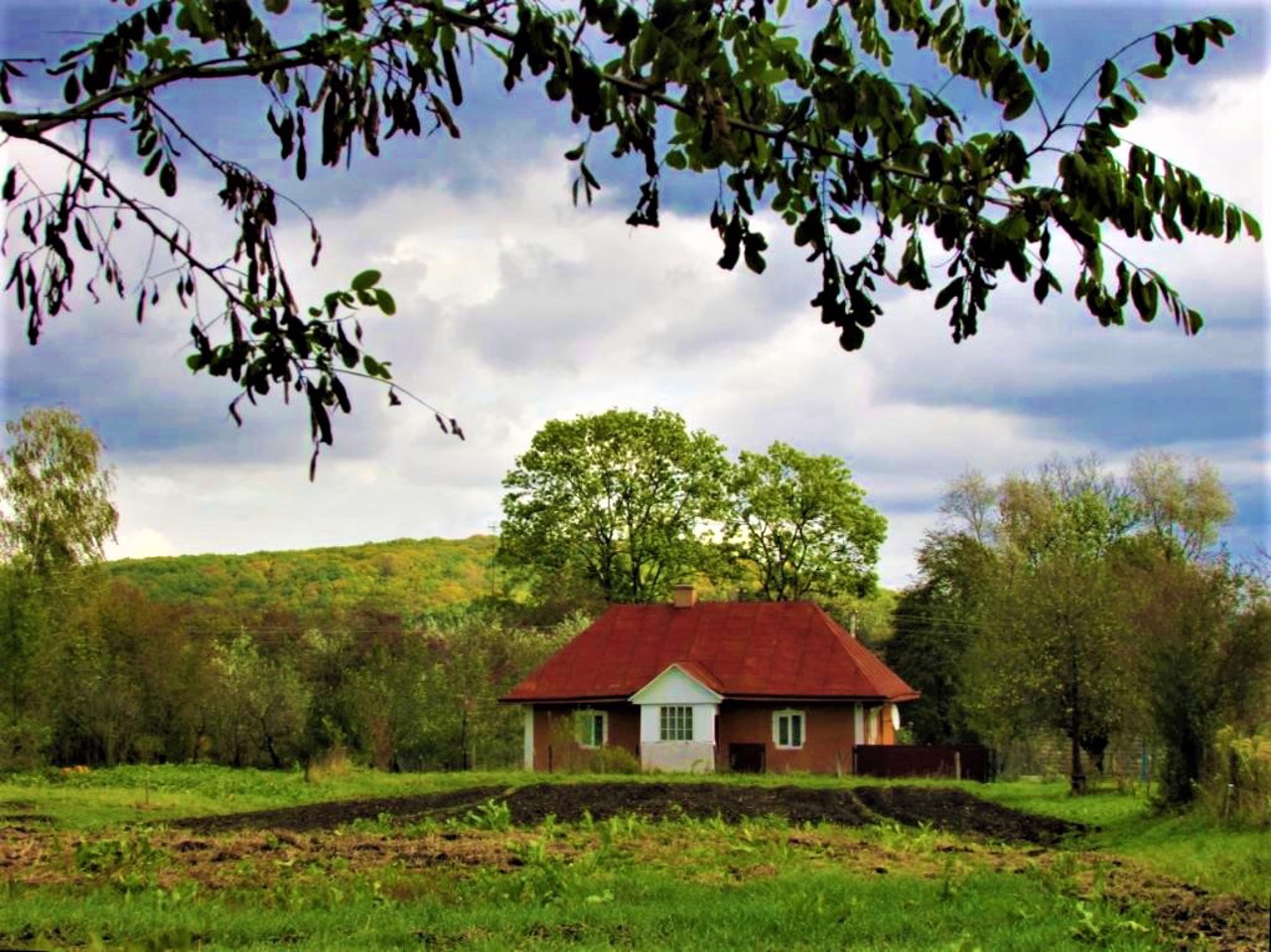 Popovychi village, Yavorivskyi district