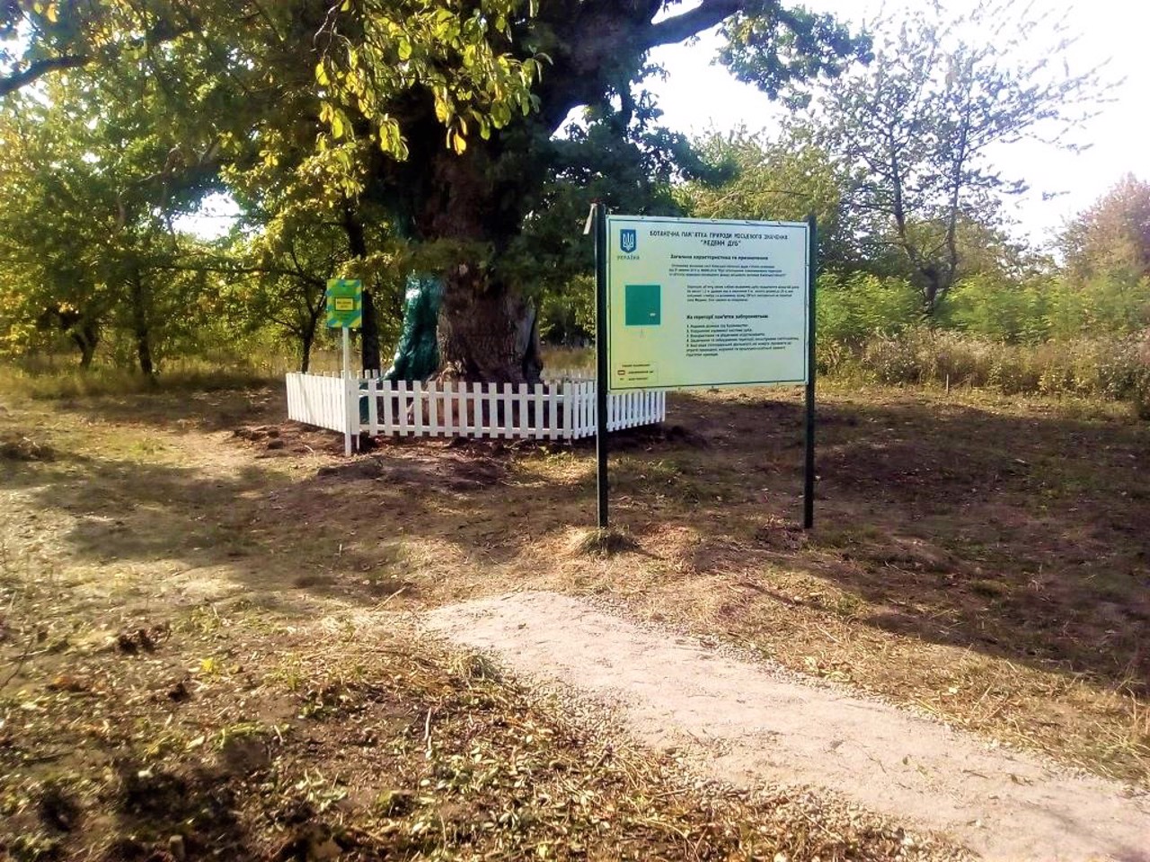 Село Медвин, Білоцерківський район