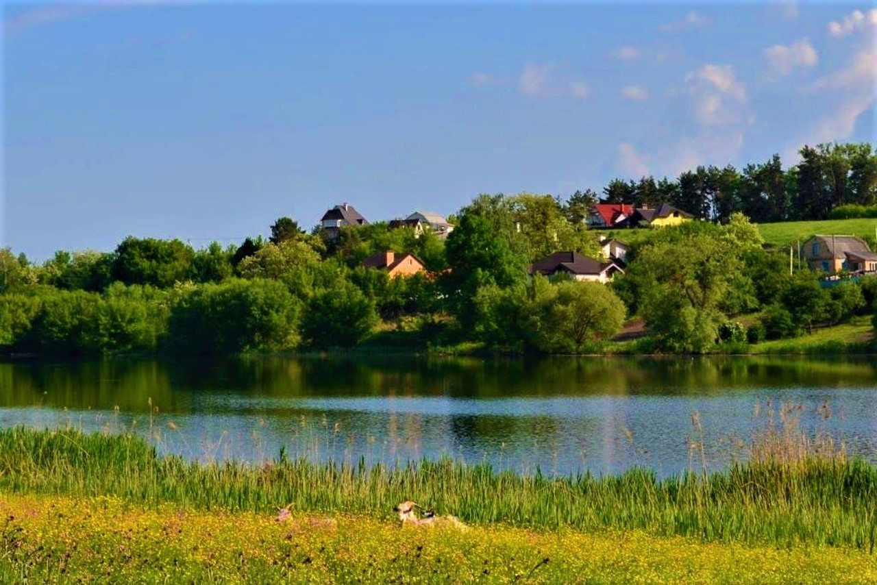 Село Петрушки, Бучанський район