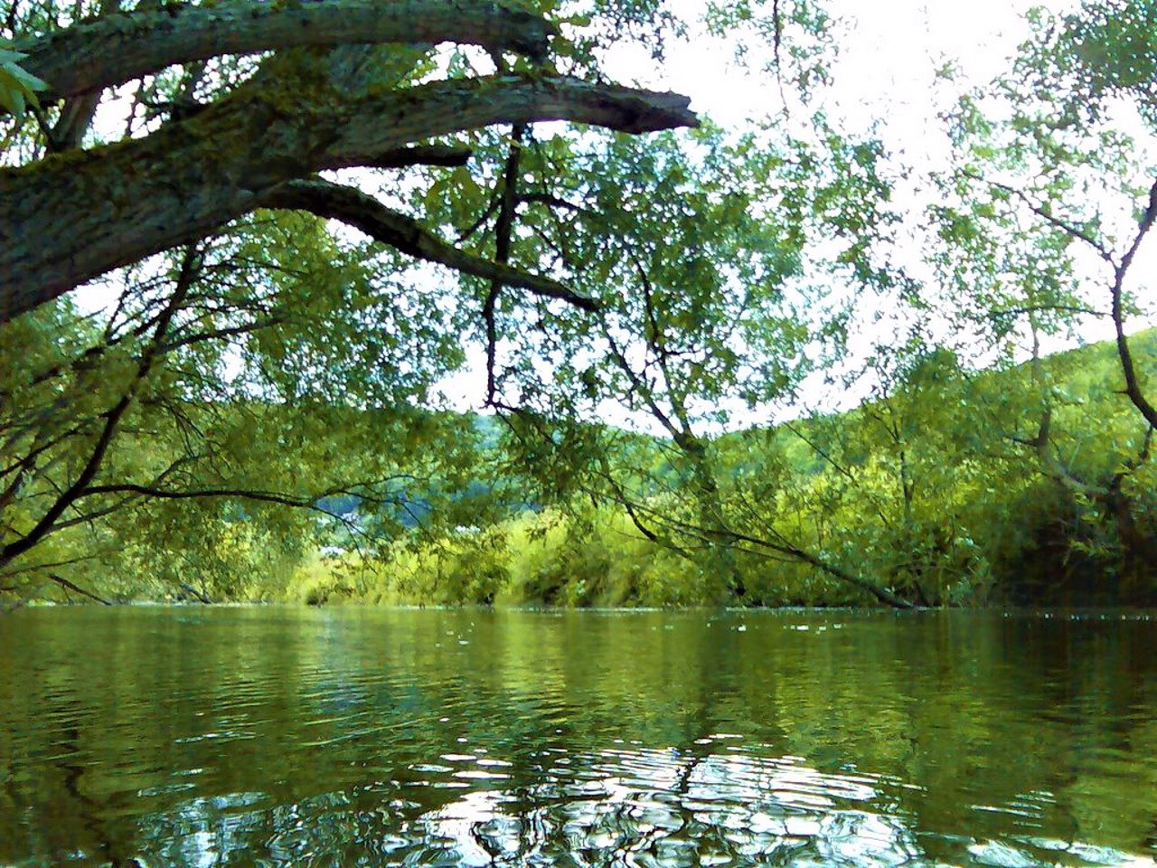 Село Кринцілів