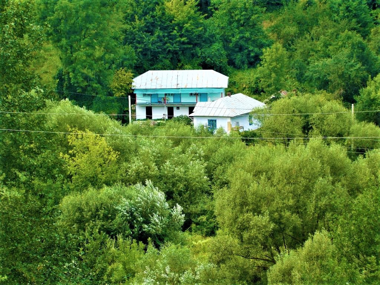 Kryntsiliv village