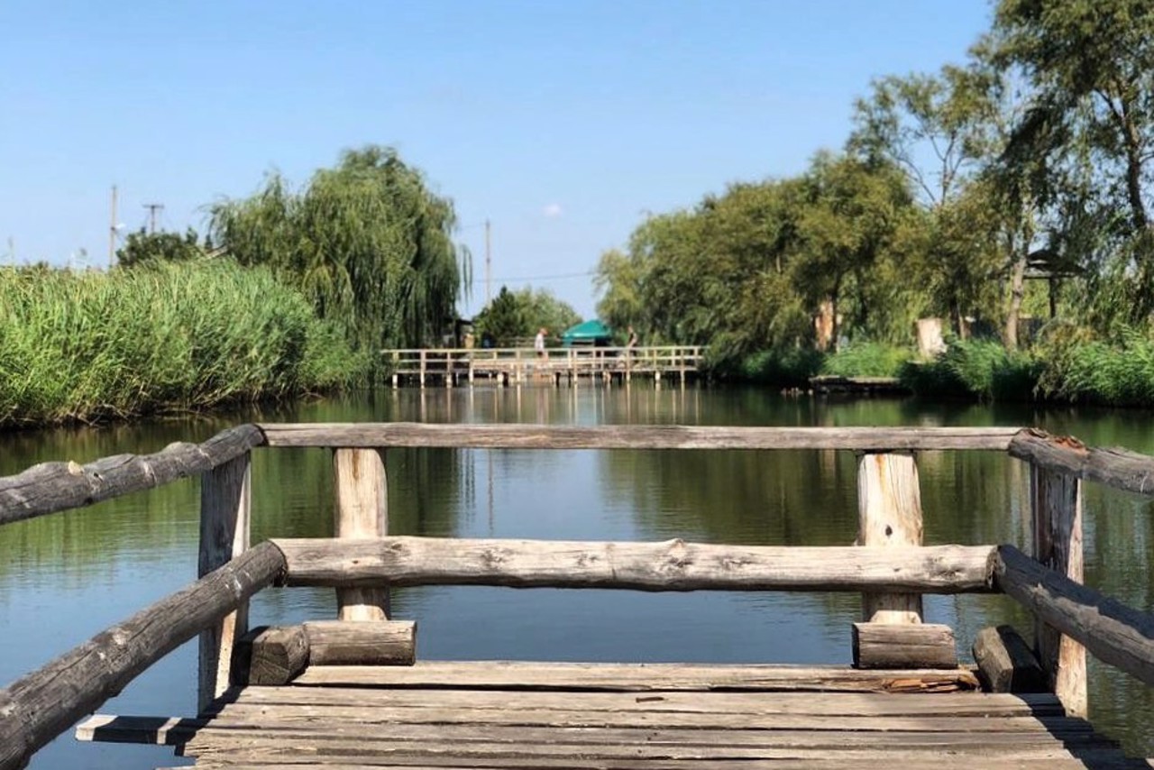 Pavlivka village, Odesa region, Stepanivska community