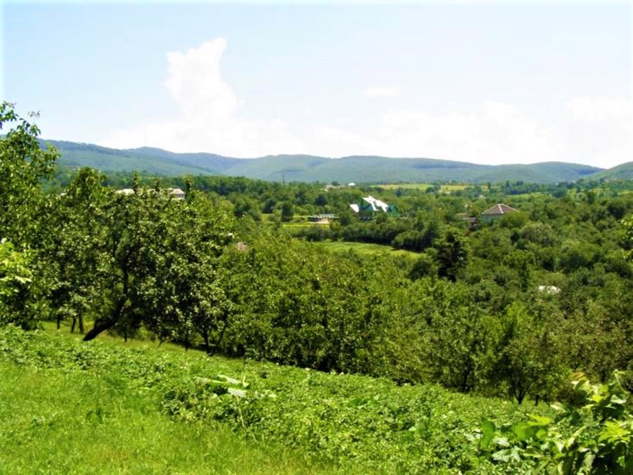 Malyi Rakovets village