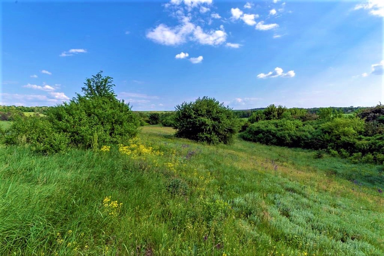 Село Хортица. Камышевахская балка.