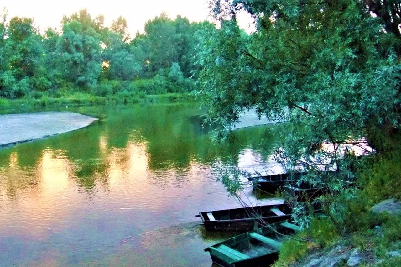 Село Летки, Броварской район