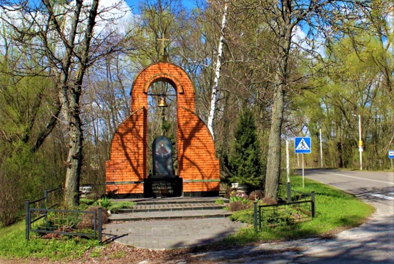 Litky village, Brovarsky district