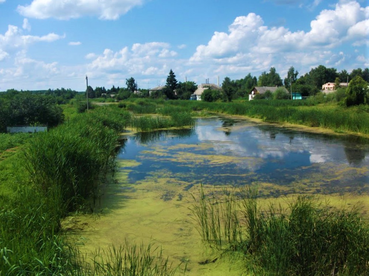 Yemilchyne village