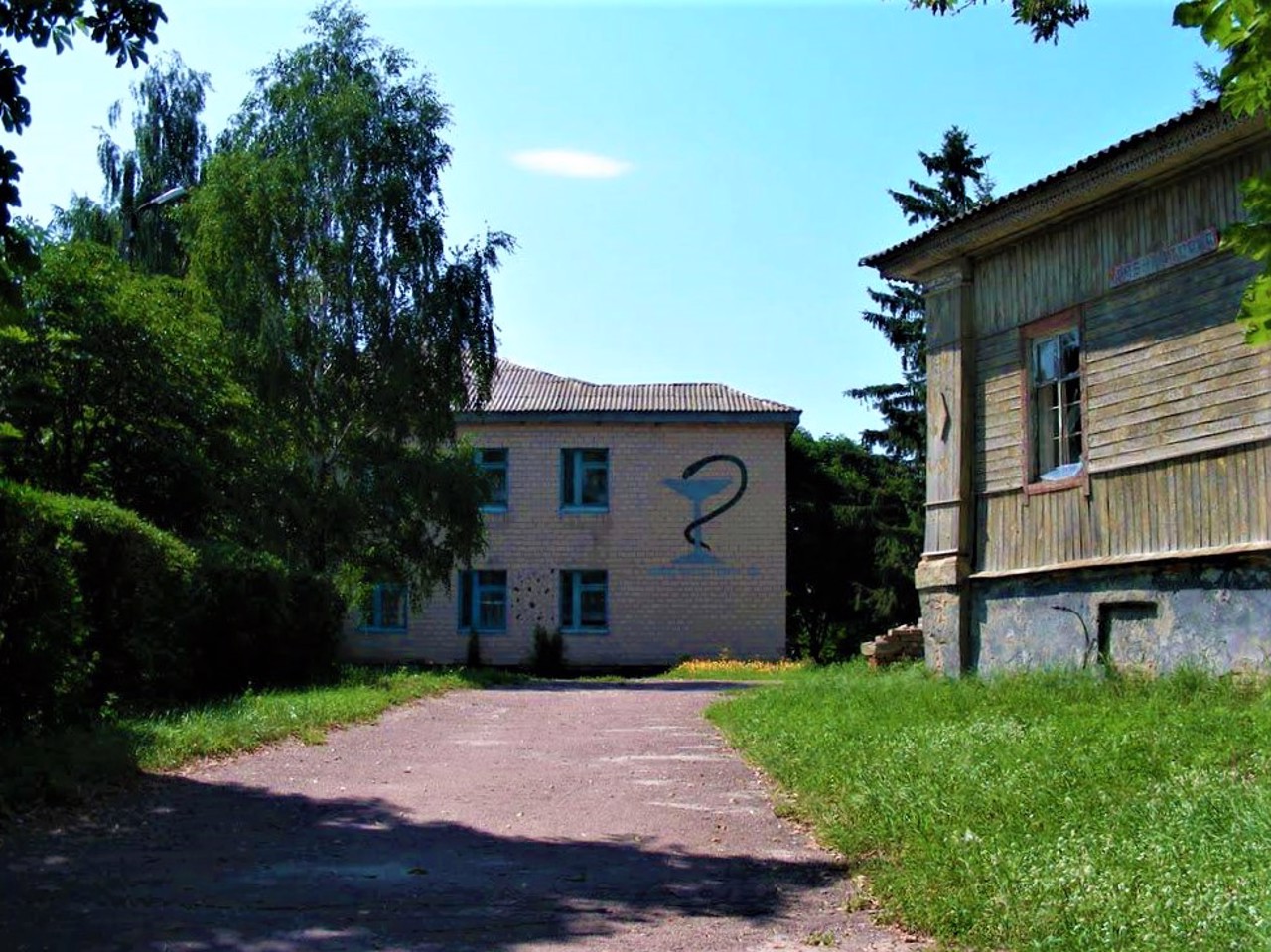 Vertiivka village, Chernihiv region