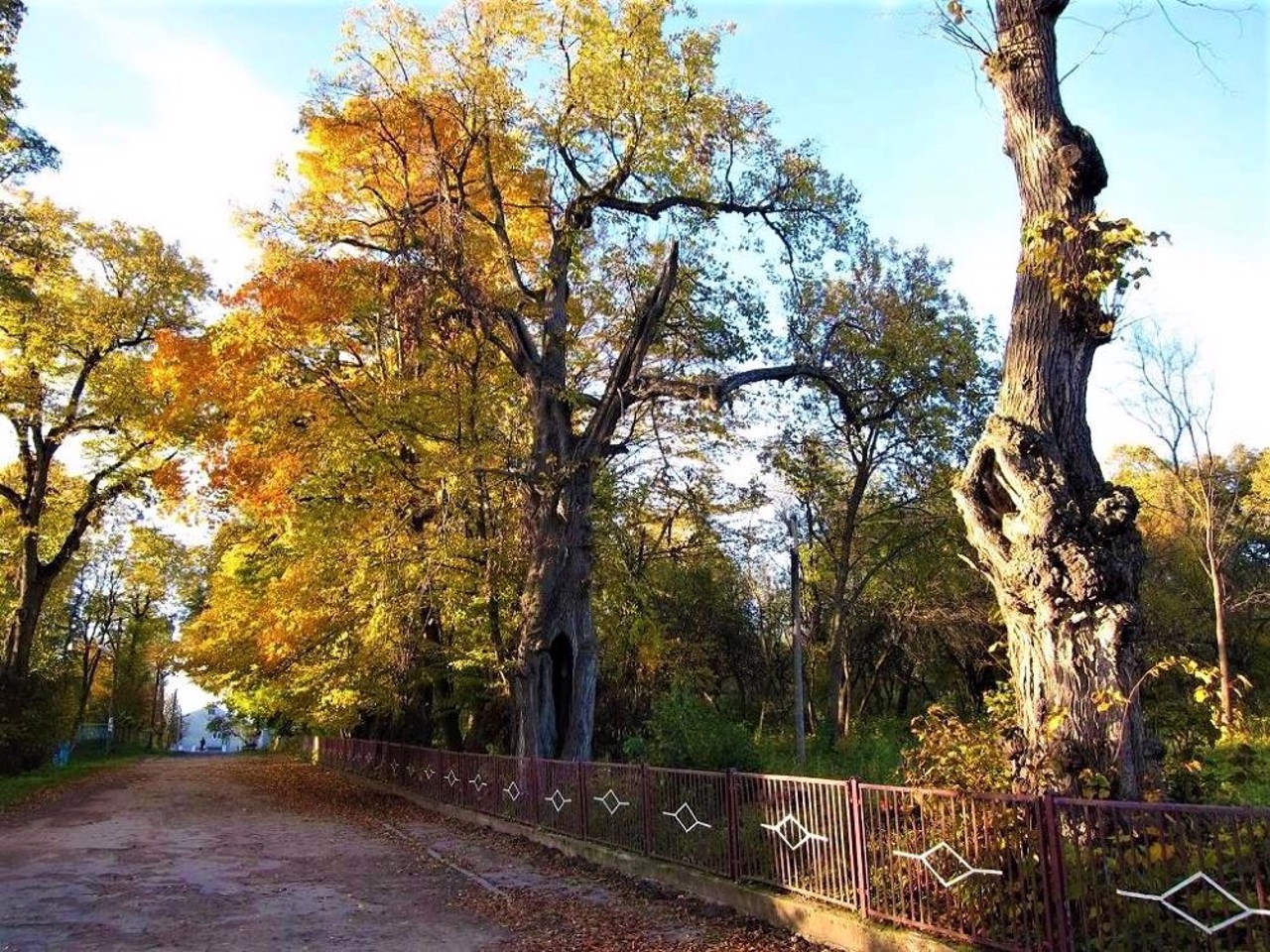 Село Старый Алексинец