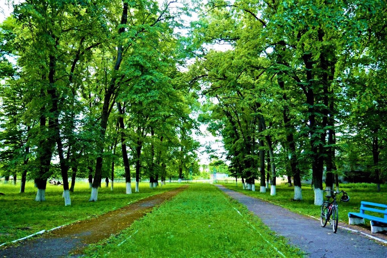 Kozyntsi village, Vinnytsia district