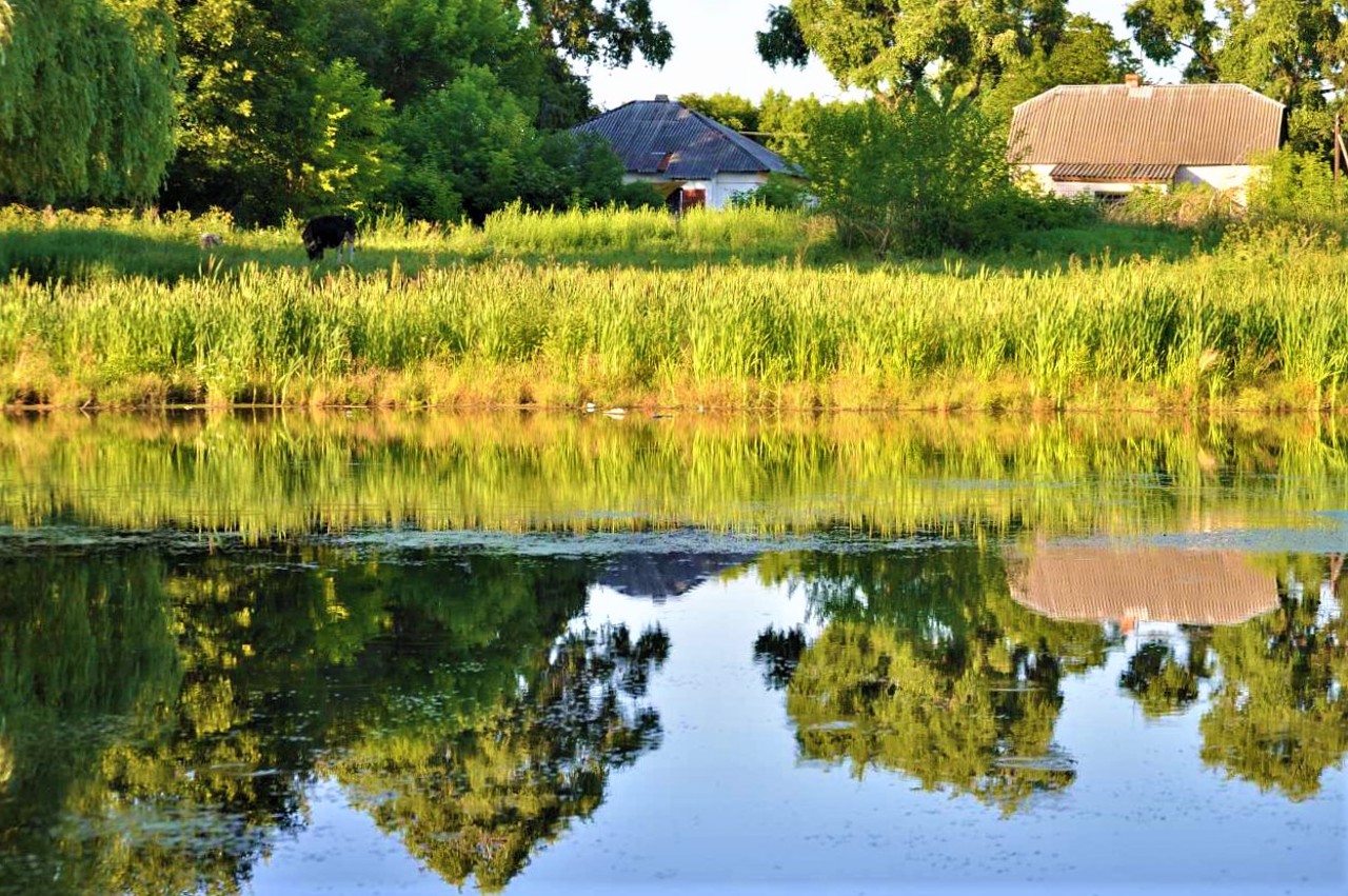 Село Соловіївка