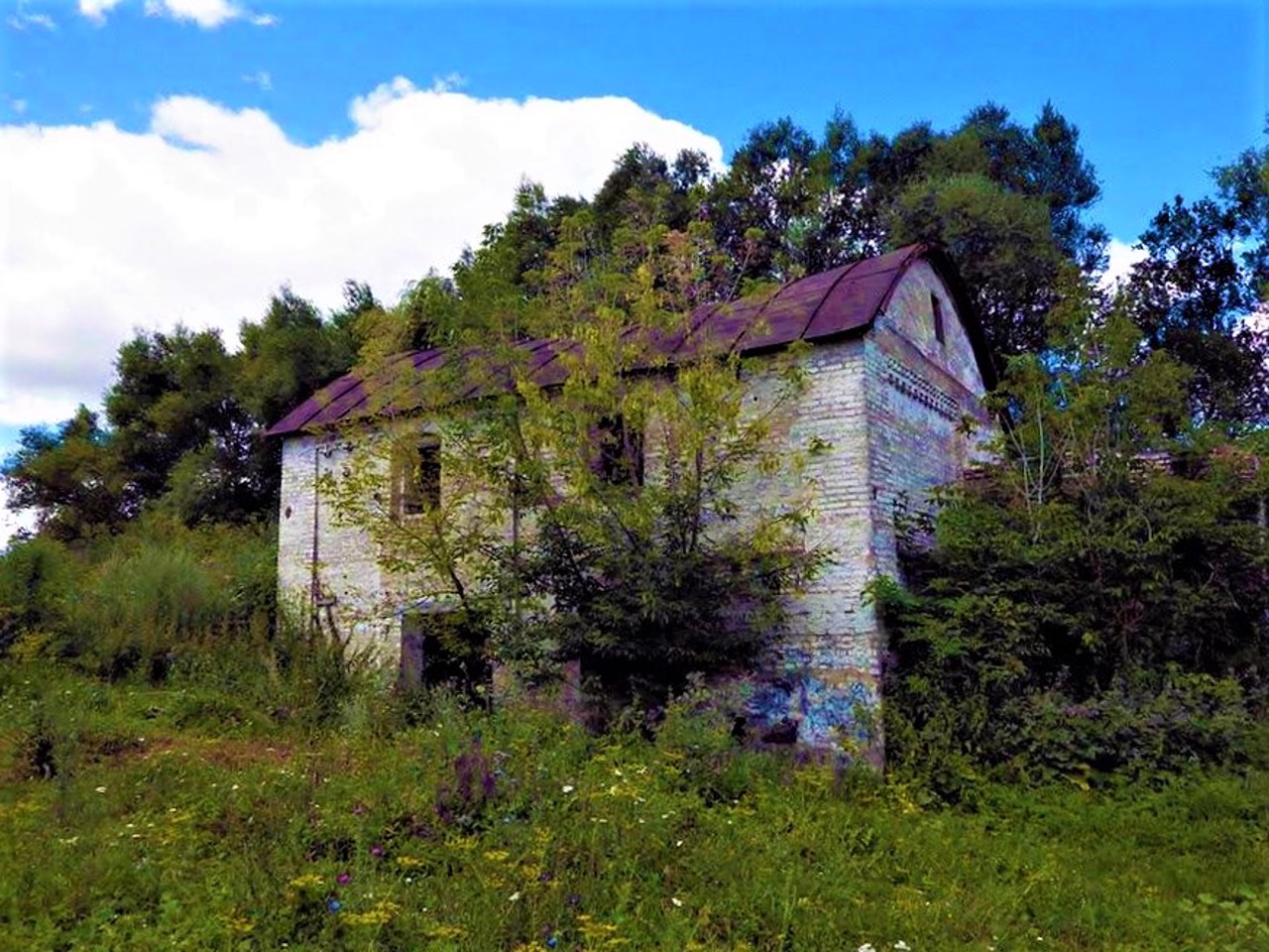 Село Вільнопілля