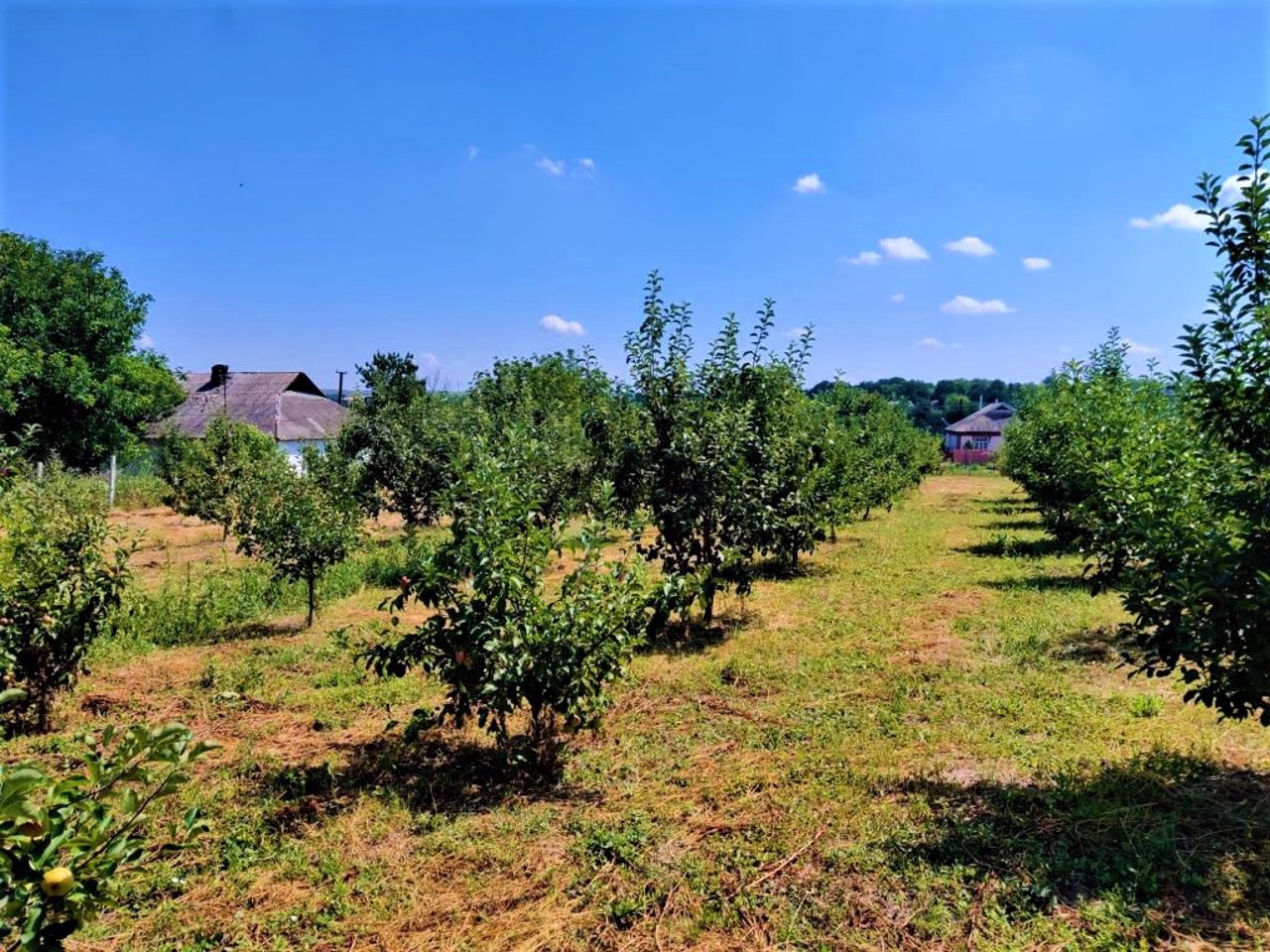 Село Четвертинівка