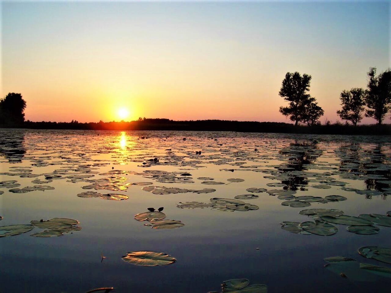 Село Нобель