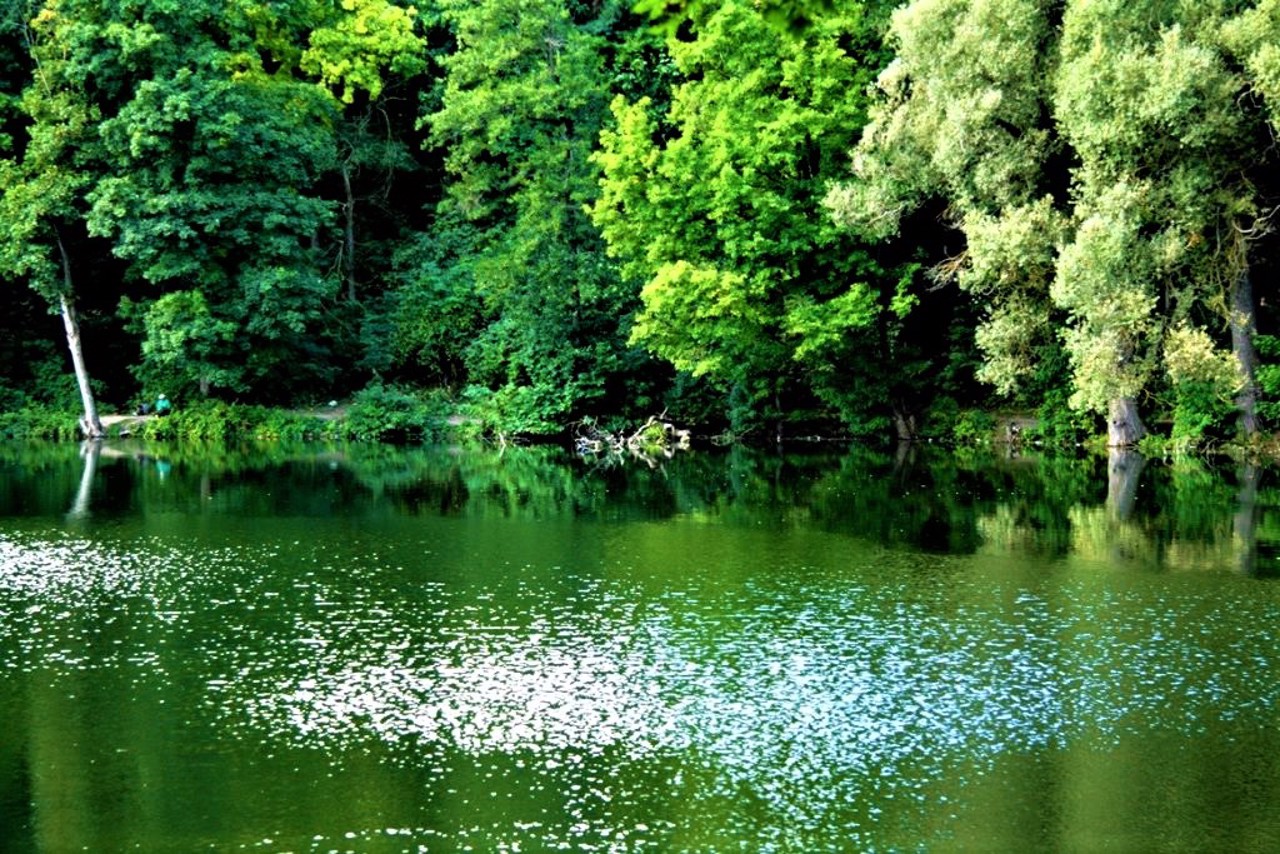 Село Михайлівка, Маківська громада