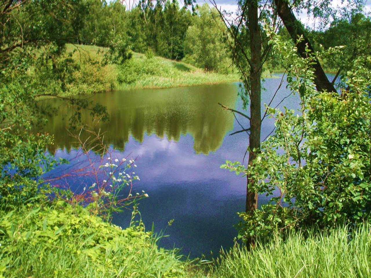 Antonivka village, Prylutsky district