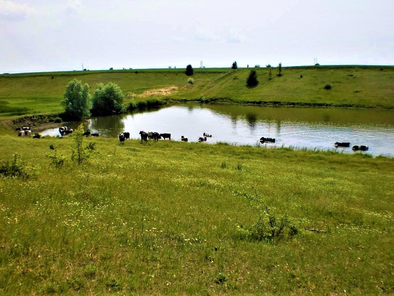 Село Яцки