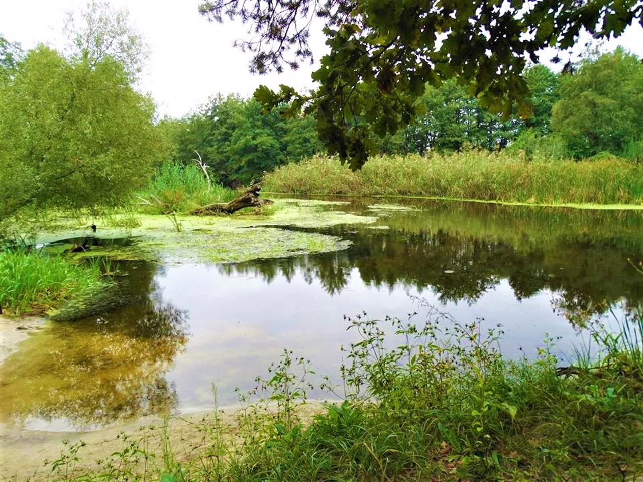 Село Піски-Удайські