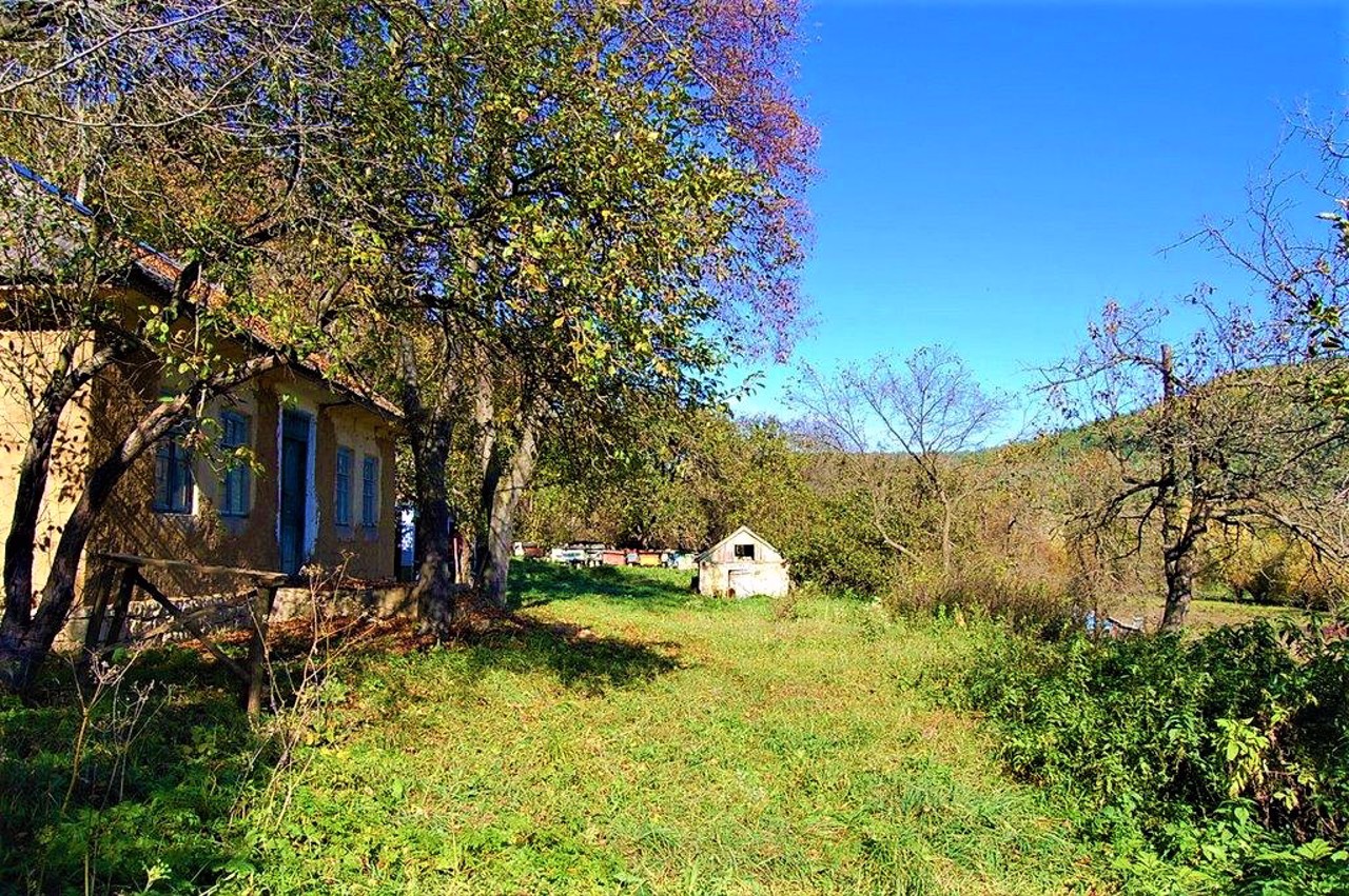 Krushanivka village