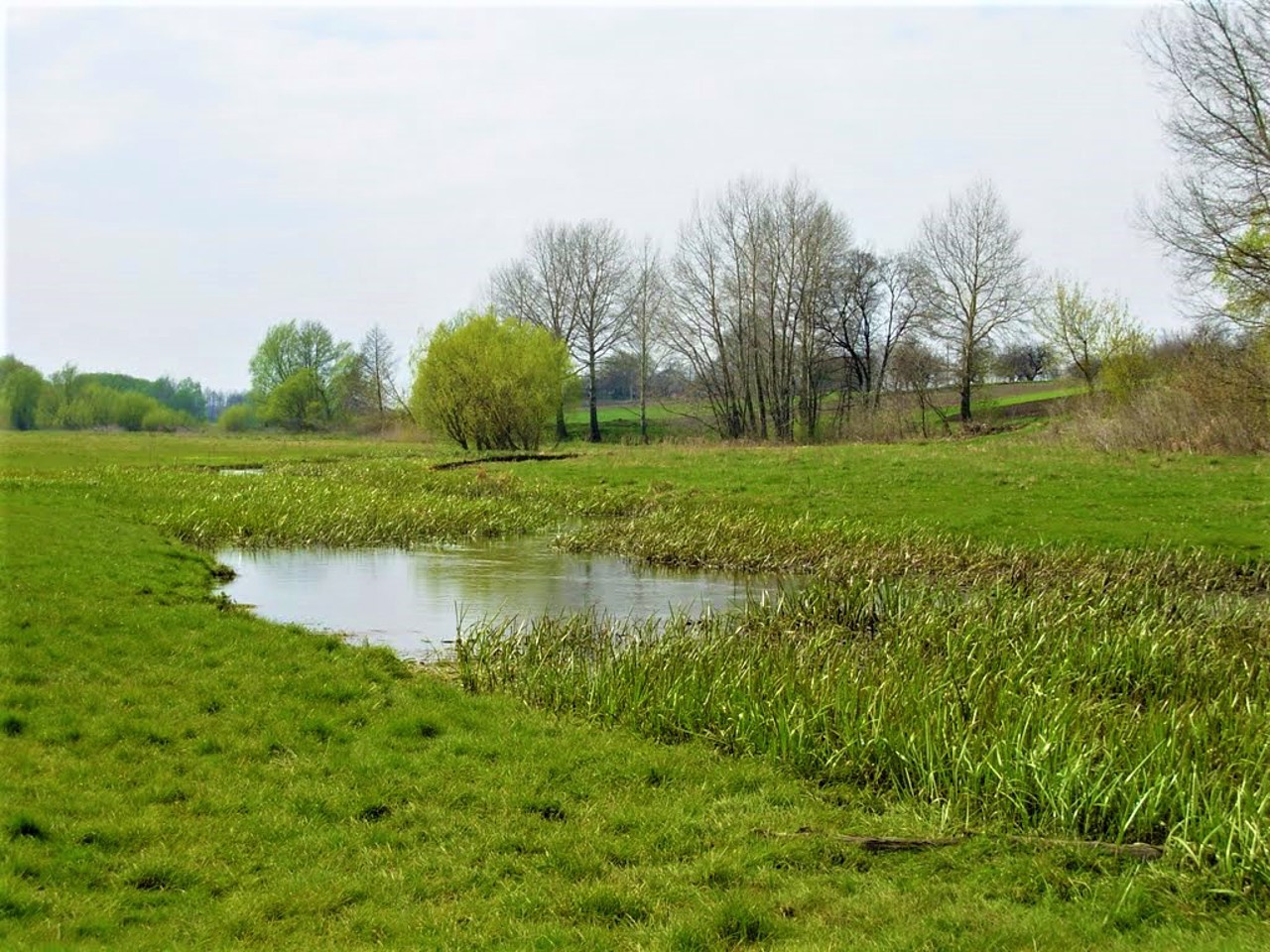 Село Білопілля