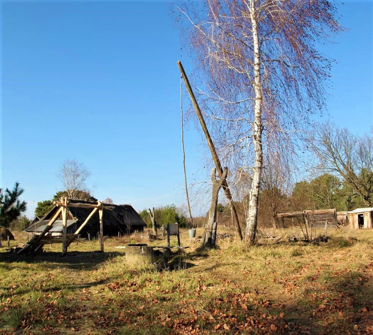 Svalovychi village