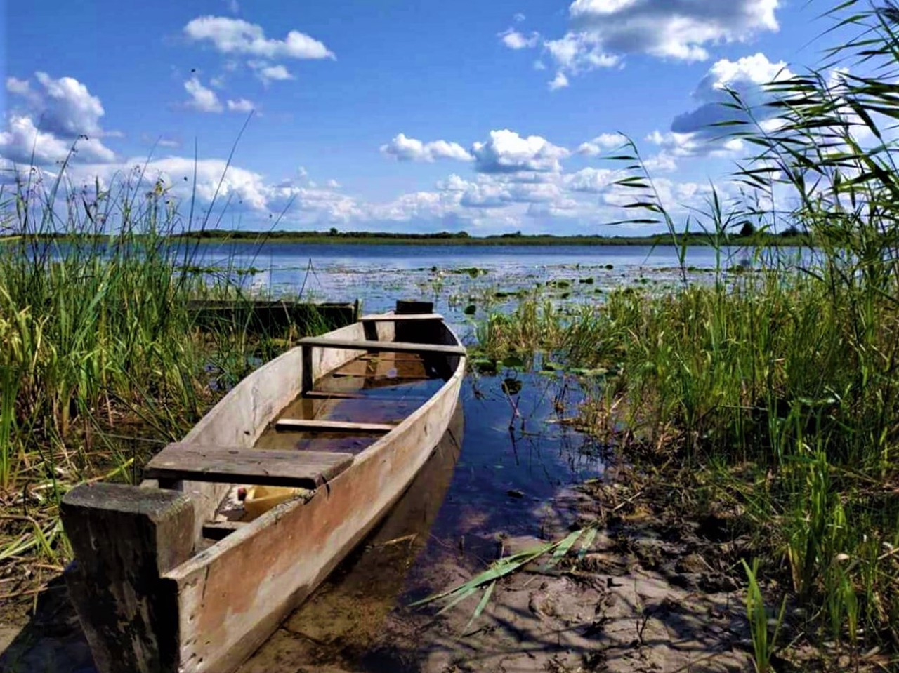 Svalovychi village