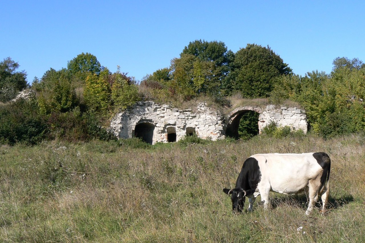 Zalozetsky castle, Zaliztsi