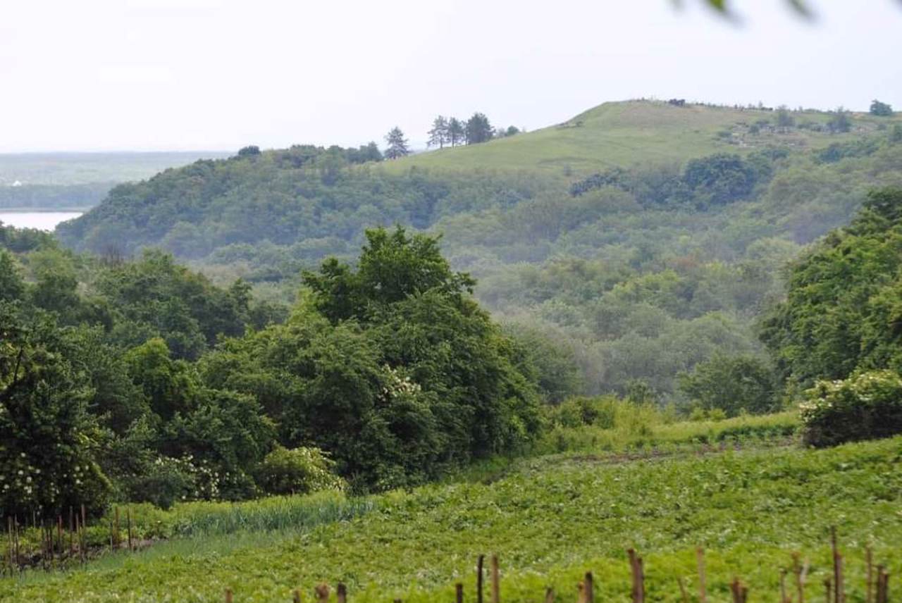 Село Витачів