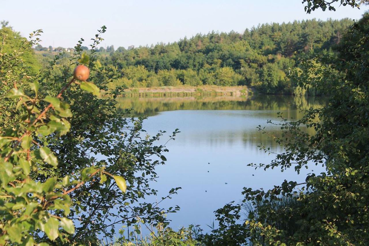 Село Великие Прицки