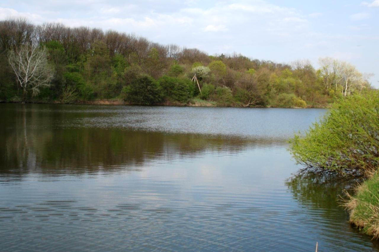 Село Червоновершка