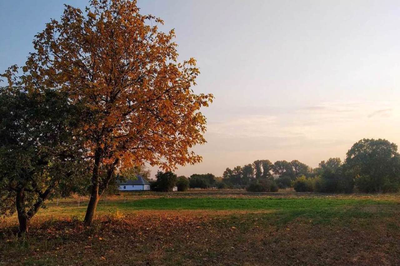 Kozubivka village