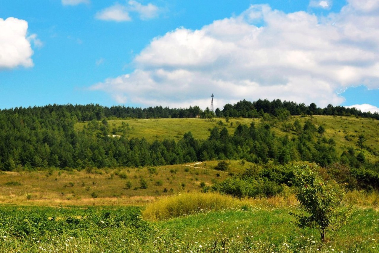 Село Підлисся