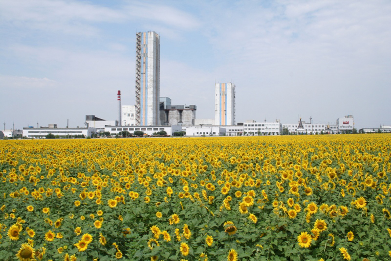 Город Покровск