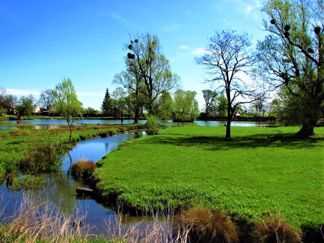 Село Журавники, Львівська область