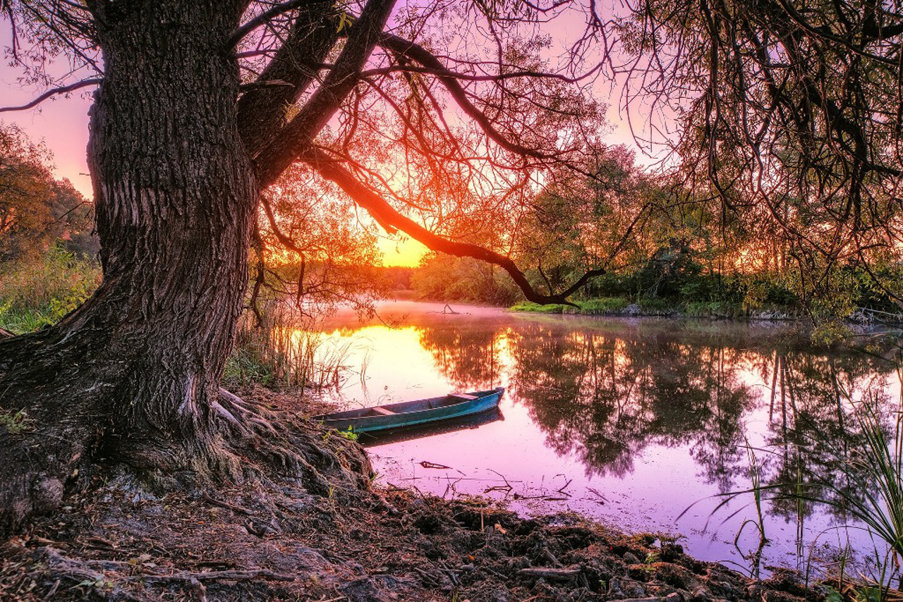 Село Рашівка