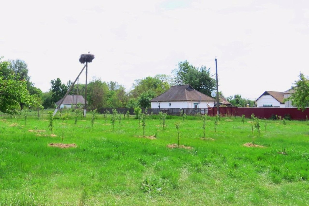 Село Трубайці