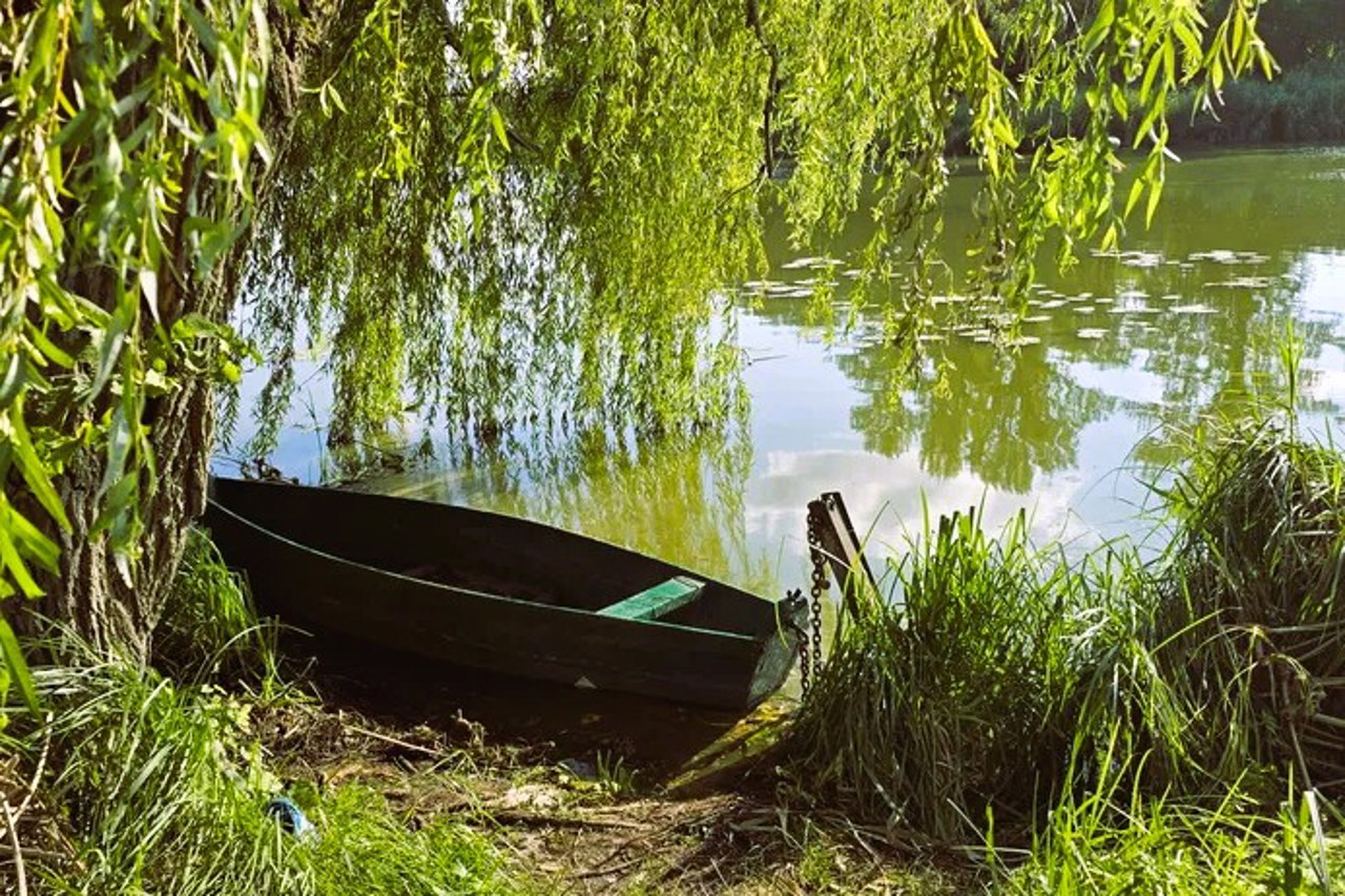 Село Шамраївка