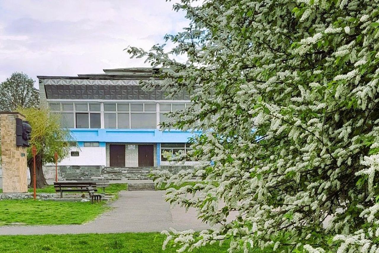 Село Княжичі