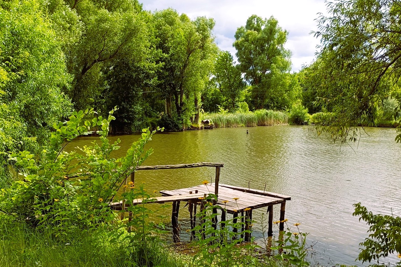 Село Македони