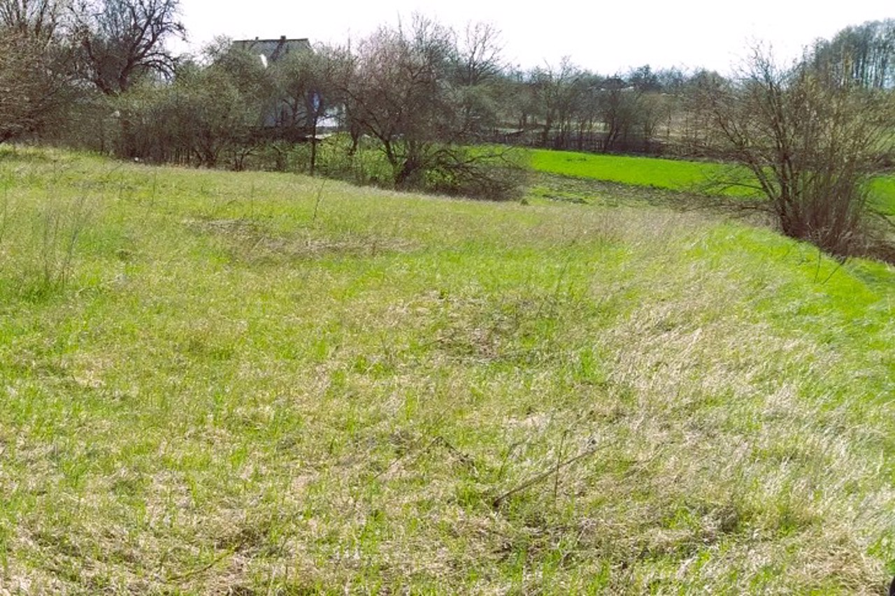 Село Півні